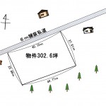 土地形状図