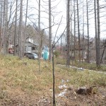 敷地南側から北東方向を撮影。