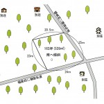 土地形状図