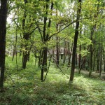 敷地北西側から東方向を撮影。