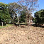 敷地東側中央付近から東方向を撮影。東側隣地は落葉広葉樹の林。