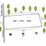 土地形状図