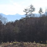 敷地北側から南西方向を撮影。南アルプス（甲斐駒ヶ岳・北岳・鳳凰三山）を眺望