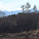 敷地北側から南西方向を撮影。南アルプスの甲斐駒ヶ岳・北岳の眺望あり。