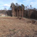 敷地西側から東南方向を撮影。敷地は伐採された部分。物件西側の建物は管理別荘地。道路は敷地南側に接面する公道。