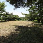 敷地内北東側から西方向を撮影。