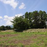 物件東南側からの全景。一段高い部分が物件。