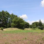 物件南西側からの全景。一段高い土地が物件。