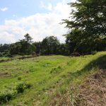 敷地内東南側から南西方向を撮影。物件の南側は約2000坪の畑と草地。