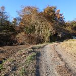 物件東側公道の北方向