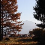 敷地から甲斐駒ヶ岳の眺望。