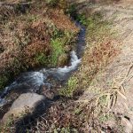 湧水からの清流。子供の水遊びが可能。