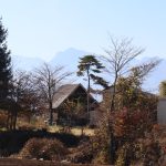 敷地北東側から南西方向を撮影