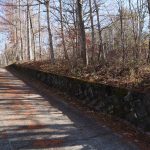 物件北西側道路の南西側から北東方向を撮影。物件は石垣の内側。