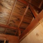 しっかりした屋根裏部分。約2ｍの高さがあり、ロフトを造ることも可能。
