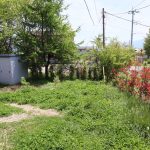 敷地南側の庭を撮影。正面の樹木も敷地内。