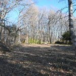 敷地北西側から東方向を撮影