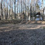 敷地南側から北方向を撮影。北側隣接地に１軒の別荘あり。