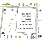 土地形状図　