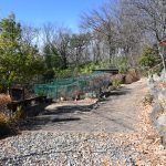 敷地内駐車場側から西方向を撮影。正面が菜園。右手が玄関への通路。