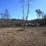 敷地北西側から東南方向を撮影。