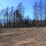 敷地北東側から西方向を撮影。南アルプスの稜線を眺望。