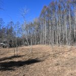 敷地北東側から西方向を撮影。敷地北側隣接地はカラマツ林。