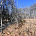 敷地南西側から北方向を撮影。左側が北杜市道。