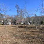 敷地西側から東方向を撮影