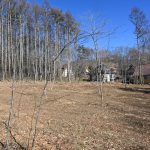 敷地西側から北東方向を撮影