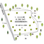 土地形状図(概要)